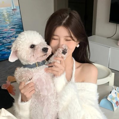 风骚律师第一季